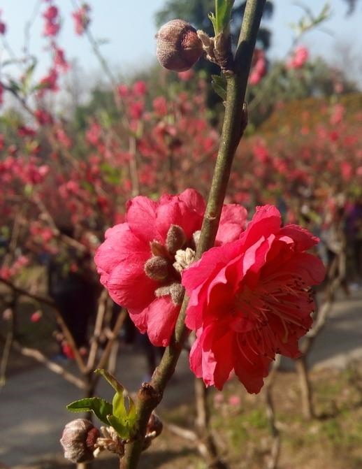 什么时候能结婚测算免费,免费八字测姻缘何时到