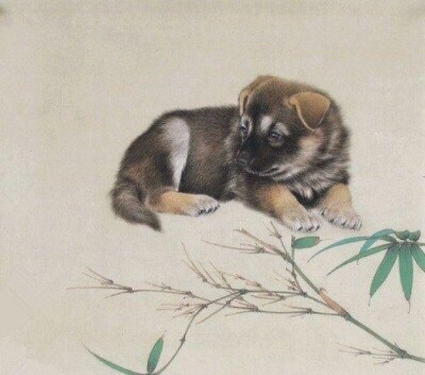 属虎男正月出生的性格,虎宝宝旺哪些生肖父母