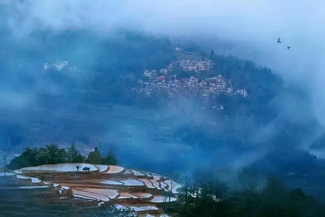 有人五行一样不缺的吗，五行都不缺的女生的命理