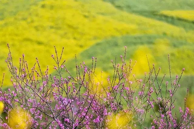 有人五行一样不缺的吗，五行都不缺的女生的命理