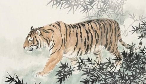 属虎年龄表2022,属猴年龄查询表