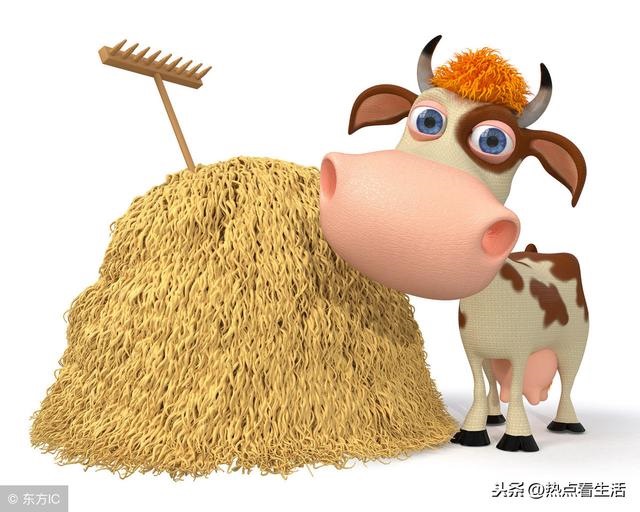 属牛几点出生更好命，牛年出生哪个时辰好