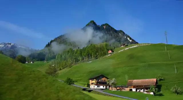 属狗女适合佩戴什么保健康，属狗的适合佩戴貔貅吗