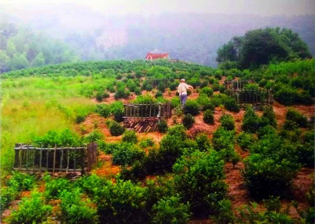 明万历癸丑年是哪一年，万历壬辰是公元