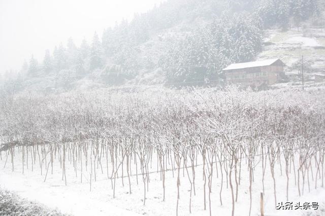 022年农业天气预测,2022年旱情预测"