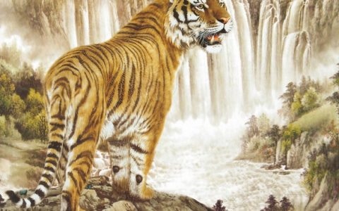 6年属虎女2022年运程,86年属虎女2022