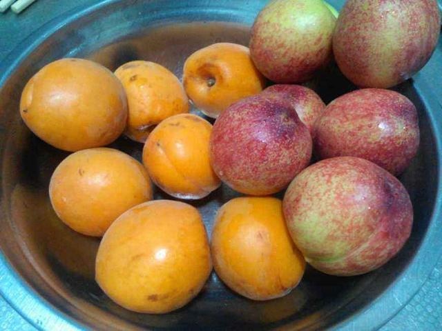 杏养人还是伤人，为什么杏伤身桃养