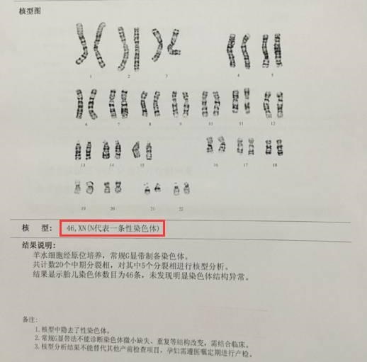 022年清宫表怀男女图,2022