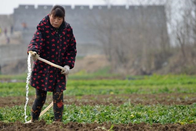 惊蛰出生的孩子，牛宝宝取名大全2022 款