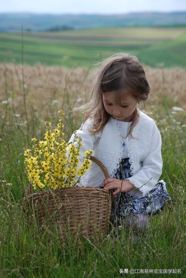 女宝宝简单大气名字，女孩中性简单大气的名字大全