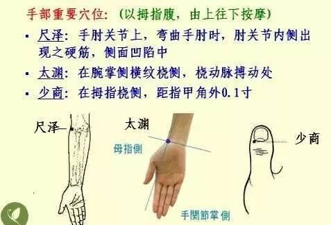 金木水火土五行查询表图片，金木水火土教学图片