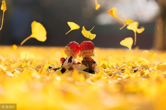 乙木身弱遇壬寅流年，壬寅日柱逢壬寅流年