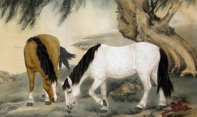 属虎男正月出生的性格,虎宝宝旺哪些生肖父母