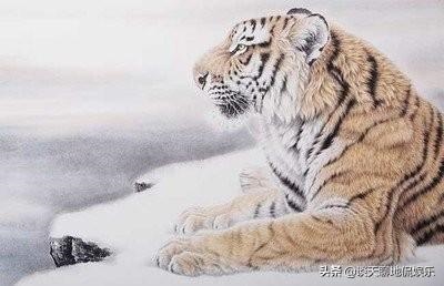 4年属虎晚年怎么样，74年虎女命为什么不好"