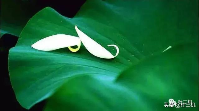 生辰八字详细分析一生命运，免费四柱八字排盘详解