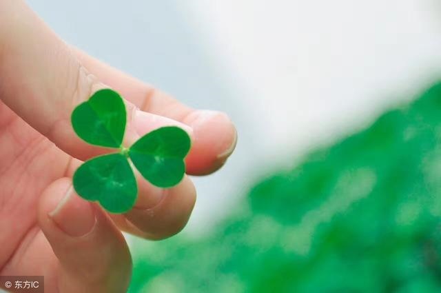 今年什么生肖好运气，虎年运气好的生肖