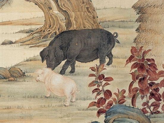 属虎男正月出生的性格,虎宝宝旺哪些生肖父母