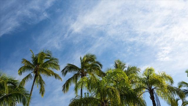 婚姻上千万不要听父母的，听父母话的女孩幸福吗