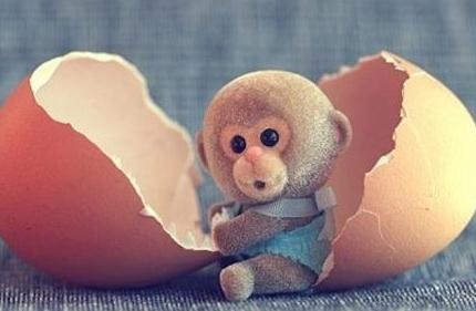 980年属猴人哪年才能走大运，属猴人的三次大运"