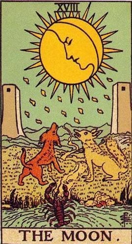 塔罗占卜你会离婚吗，塔罗占卜他背叛我几次