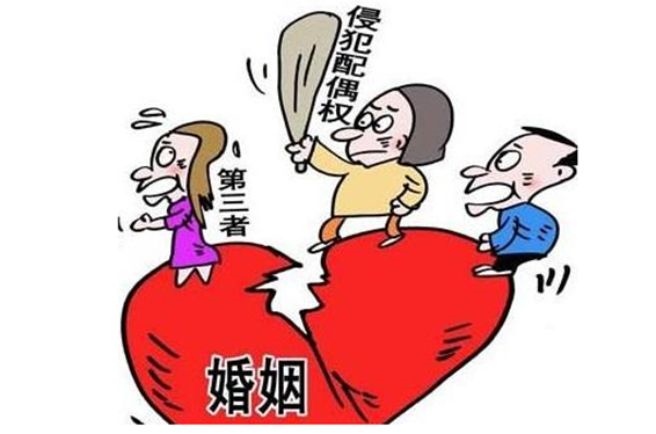 算婚姻会不会离婚免费,婚姻测试会不会离婚免费