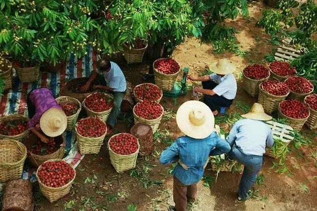 有人五行一样不缺的吗，五行都不缺的女生的命理