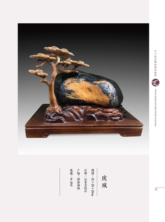 属虎和属兔哪个属相好，属虎和什么属相最配