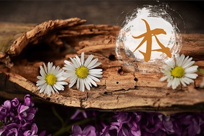 命里有土好不好，土多的人命好不好