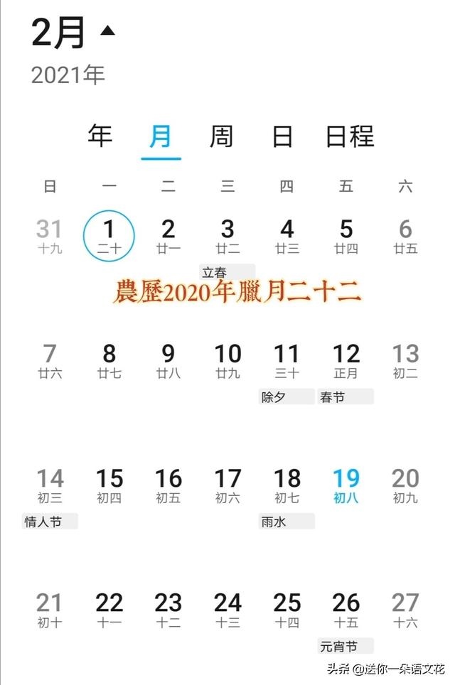 024年为什么是黑兔年，黑兔走入青龙2023年"