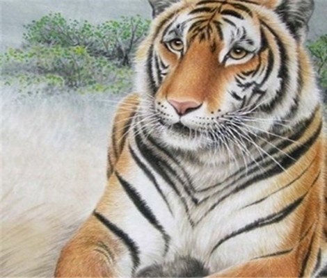 4年属虎人的运势，74年女虎人2022