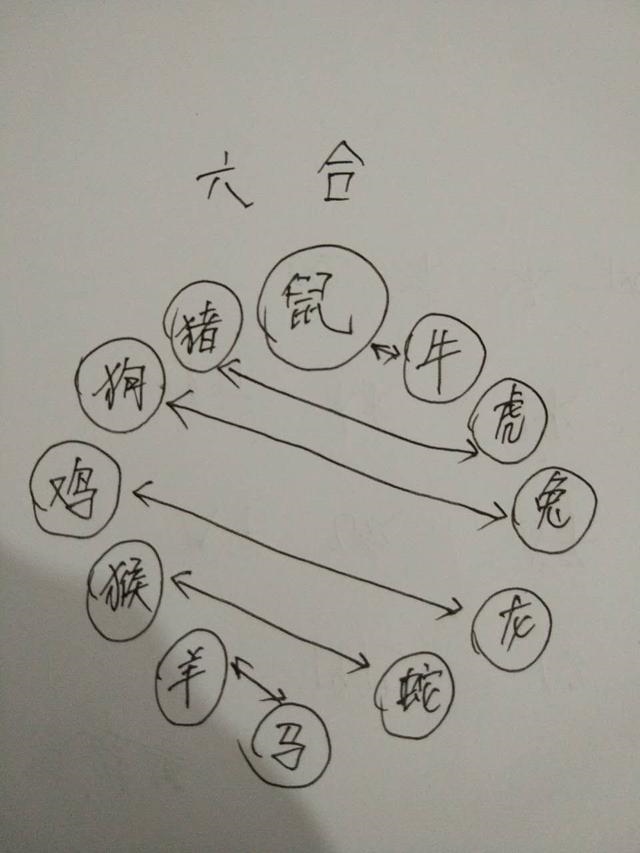 属羊三合和三冲属相,属羊的三合和六个合生肖