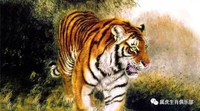 属虎和属猴的人相克吗，属猴和属虎的姐妹好不好