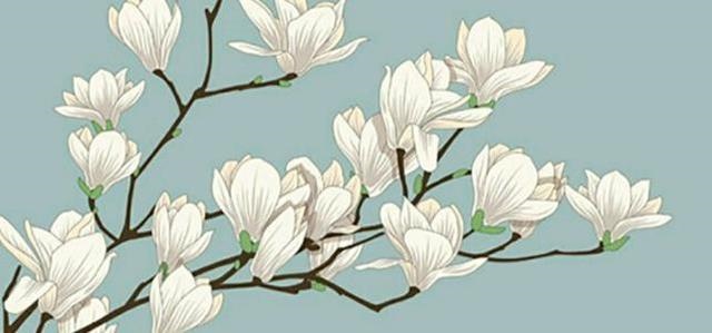 享福又长寿的生肖女，最让男人高看的生肖女