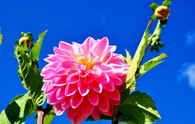 伤官大运有什么特征，男命行伤官大运