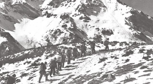 8年的女猴命运及婚姻，生肖猴2022年"