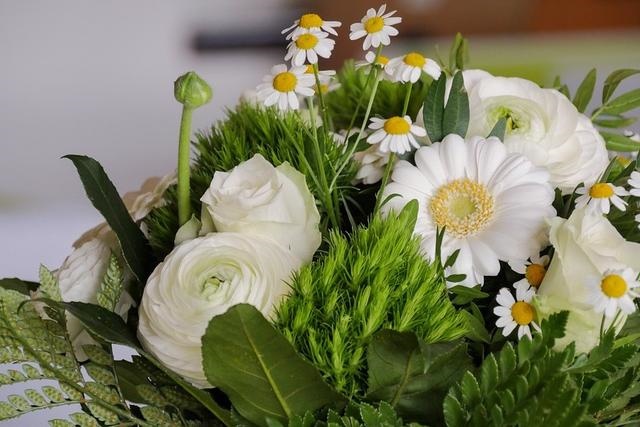 022十二生肖运程大全每个月，2022生肖运势"