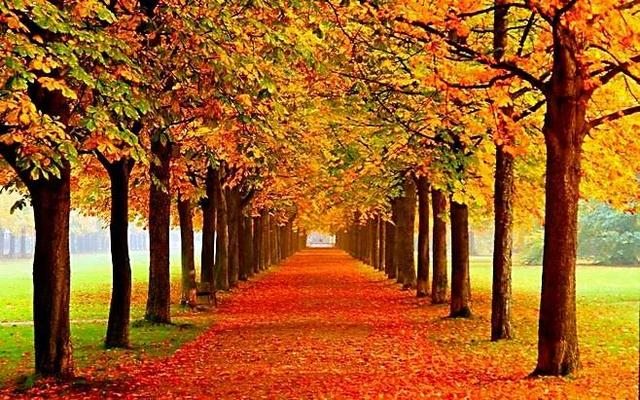 结婚多少年怎么算，结婚周年计算器