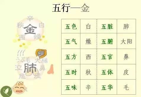 金木水火土五行查询表图片，金木水火土教学图片