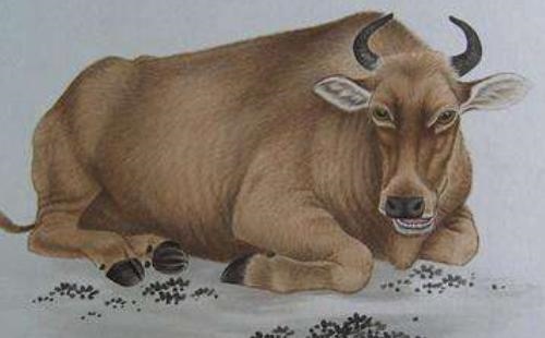 7年属牛24岁下半年运势，1997年属牛何时添子女"