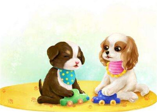 属狗的和属狗的属相相配吗,属狗的和属狗的结婚好不好