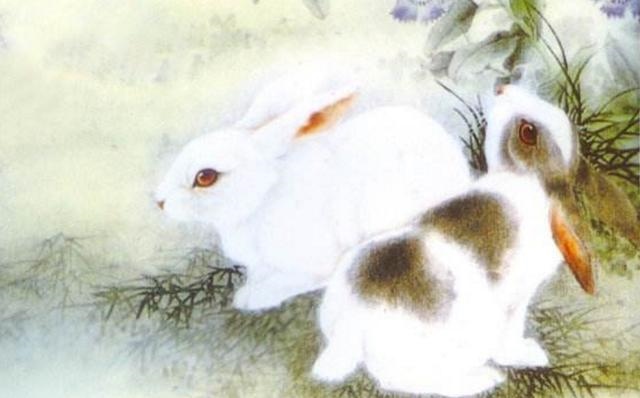 975年属兔的终身贵人，1975年属兔的贵人是什么生肖"