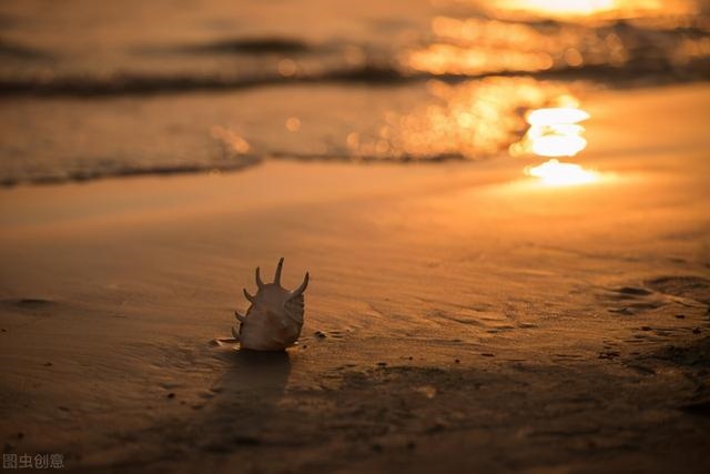 算命好不好要不要算，算命一般什么时候好