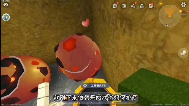 宠物兔会生宝宝吗，兔子生小兔视频