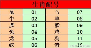 丙子戊戌癸巳戊午，丙戌乙未甲寅戊辰