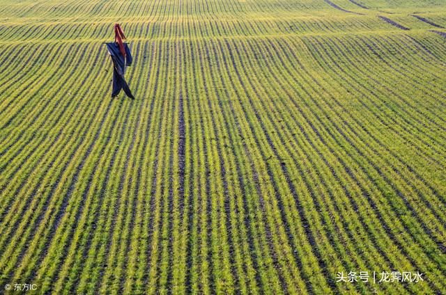 真正的免费算命大师，人更好不要算命