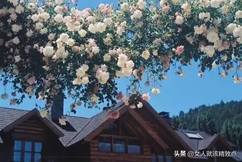 如何查自己五行属什么，查看五行的准确 ***