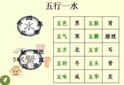 金木水火土五行查询表图片，金木水火土教学图片