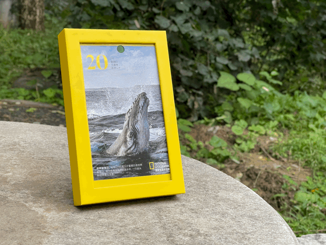 为什么2022年是虎百年,2022虎年怎么说是百年