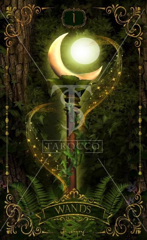 塔罗占卜结婚对象，塔罗占卜他的真实想法