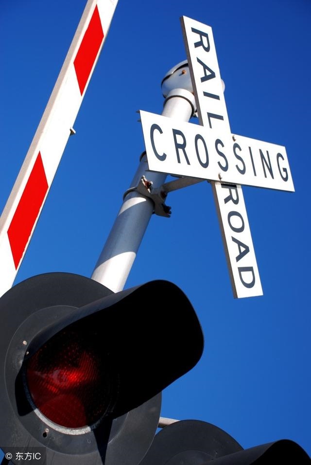 壬申月命理解析，己巳年壬申月丁巳日